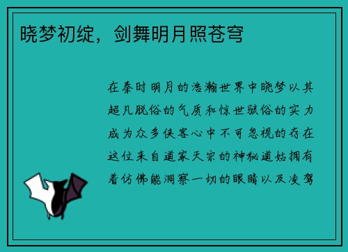 晓梦初绽，剑舞明月照苍穹